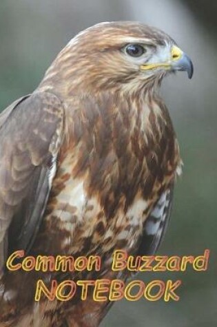 Cover of Common Buzzard NOTEBOOK