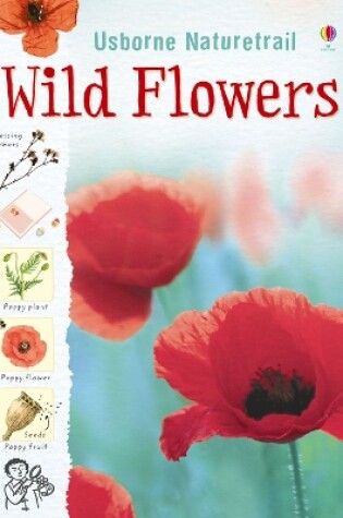 Cover of Wild Flowers