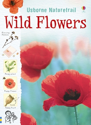 Book cover for Wild Flowers