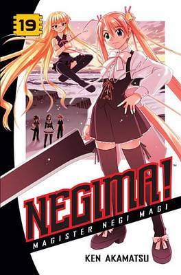 Book cover for Negima! 19