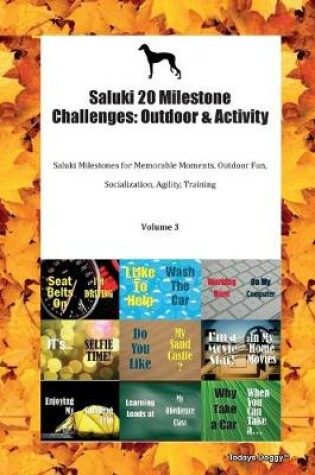 Cover of Saluki 20 Milestone Challenges