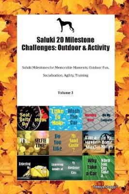 Book cover for Saluki 20 Milestone Challenges