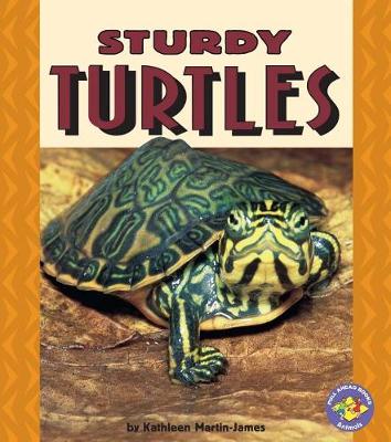 Cover of Sturdy Turtles