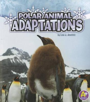 Book cover for Polar Animal Adaptations (Amazing Animal Adaptations)