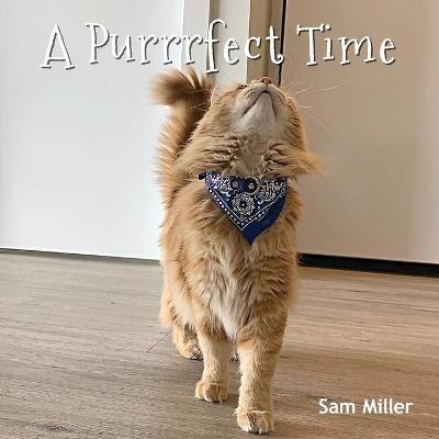 Book cover for A Purrrfect Time