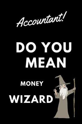 Book cover for Accountant! Did You Mean Money Wizard
