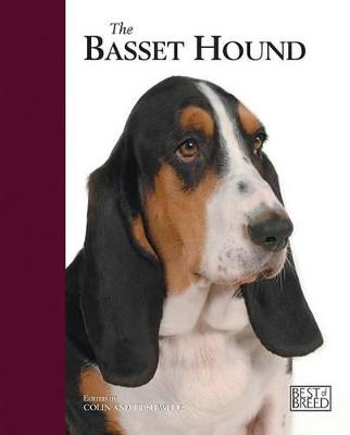 Book cover for Basset Hound