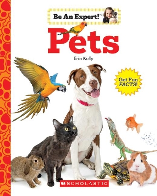 Book cover for Pets (Be an Expert!)