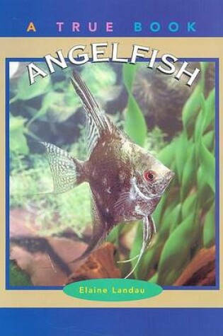 Cover of Angelfish