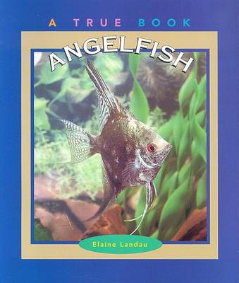 Book cover for Angelfish