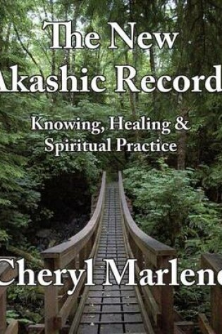 Cover of The New Akashic Records