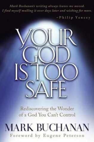 Cover of Your God Is Too Safe