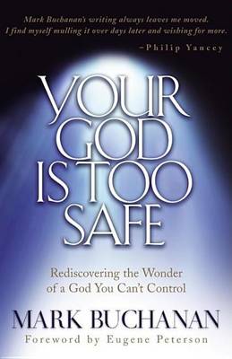 Book cover for Your God Is Too Safe