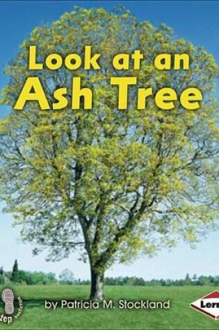 Cover of Look at an Ash Tree