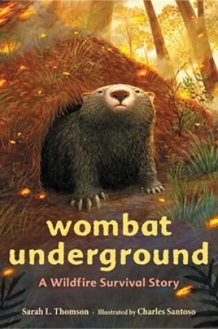 Cover of Wombat Underground