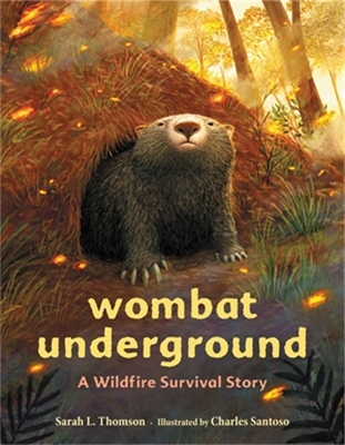 Book cover for Wombat Underground