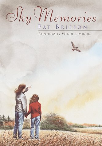 Book cover for Sky Memories