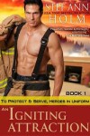 Book cover for An Igniting Attraction