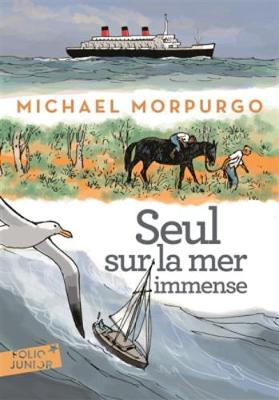 Book cover for Seul sur la mer immense