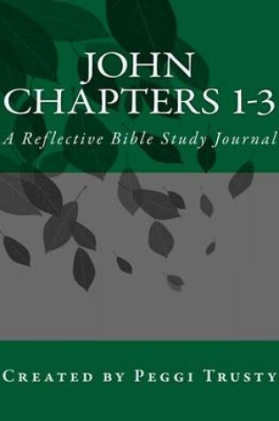 Cover of John, Chapters 1-3