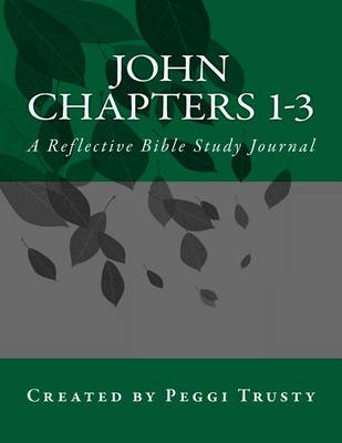 Book cover for John, Chapters 1-3