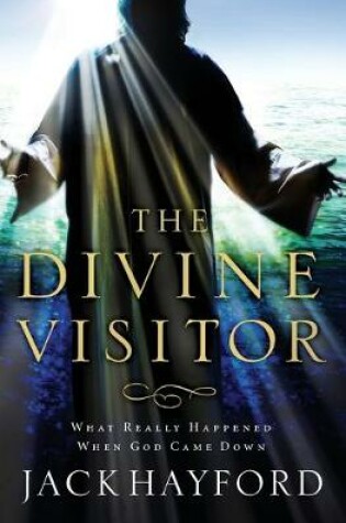 Cover of Divine Visitor