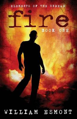 Book cover for Fire