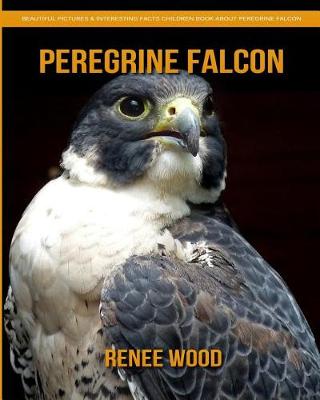 Book cover for Peregrine Falcon