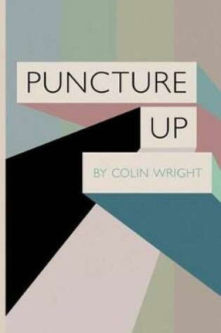 Cover of Puncture Up