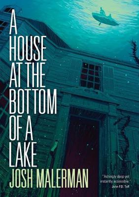 Book cover for A House at the Bottom of a Lake