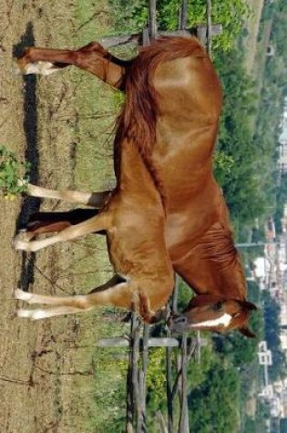 Cover of A Chestnut Mare and Feeding Foal Journal