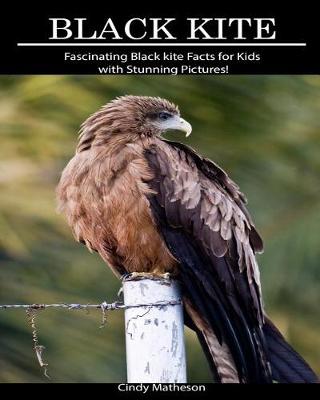 Book cover for Black Kite