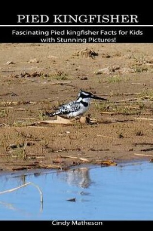 Cover of Pied Kingfisher