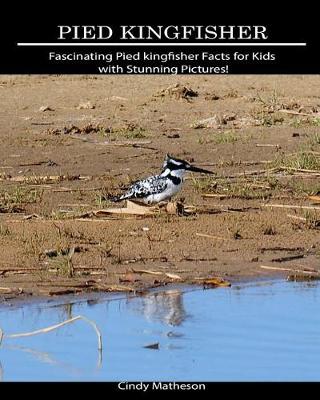 Book cover for Pied Kingfisher