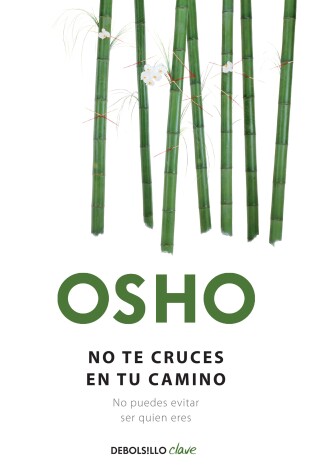 Book cover for No te cruces en tu camino / Get Out of Your Own Way