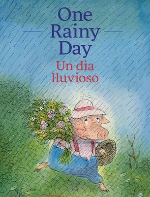 Book cover for One Rainy Day / Un Dia Lluvioso