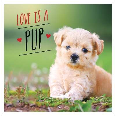 Book cover for Love is a Pup