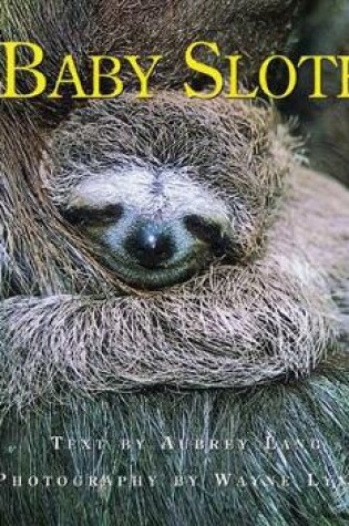 Cover of Baby Sloth