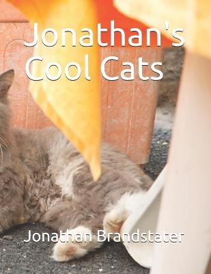 Book cover for Jonathan's Cool Cats