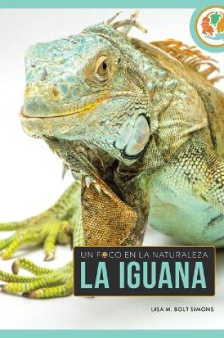Cover of La Iguana