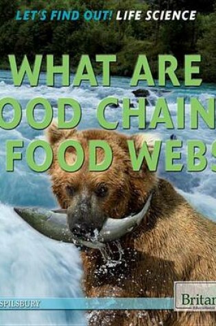 Cover of What Are Food Chains & Food Webs?