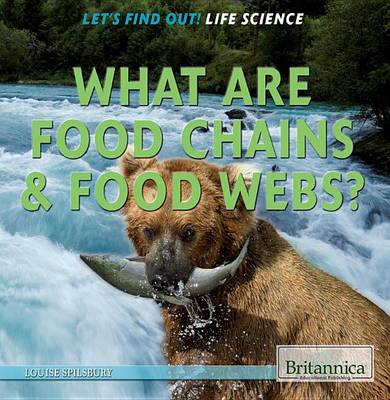 Cover of What Are Food Chains & Food Webs?