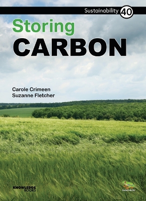 Book cover for Storing Carbon