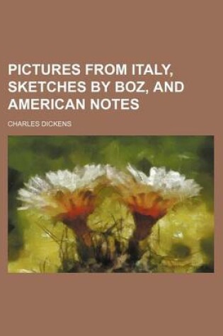 Cover of Pictures from Italy, Sketches by Boz, and American Notes