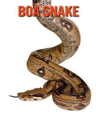 Book cover for Boa Snake