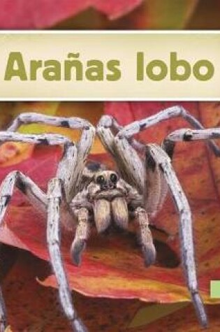 Cover of Aranas Lobo