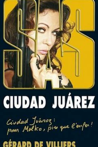 Cover of SAS 190 Ciudad Juarez