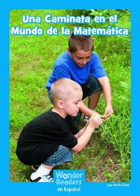 Cover of Una Caminata En El Mundo de la Matemática