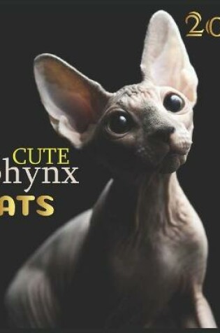 Cover of cute sphynx Cats