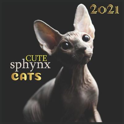 Book cover for cute sphynx Cats